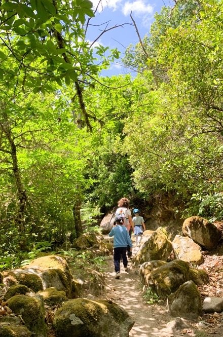 tramo del camino del agua