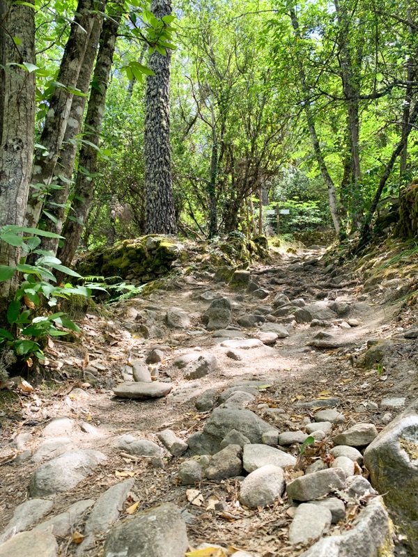 tramo pedregoso del camino del agua