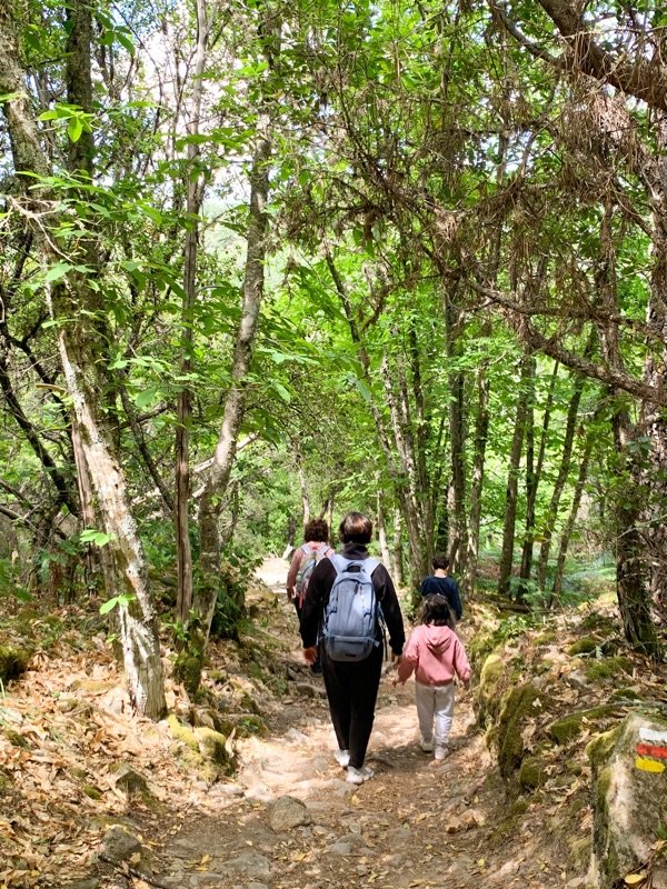 tramo del camino del agua